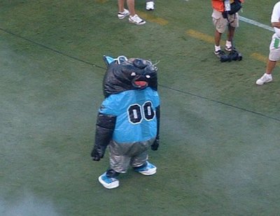 Panthers Game 035 small.jpg