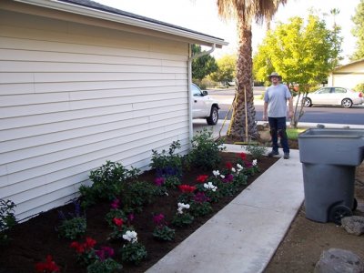 Copy of Flower bed 2007 008.jpg
