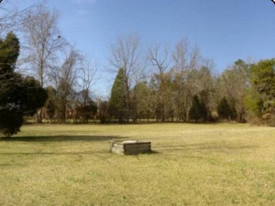 backyard.JPG