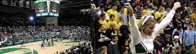 banner.jpg