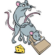 mouse-screwing-a-mouse-in-a-mousetrap-funny-joke.png